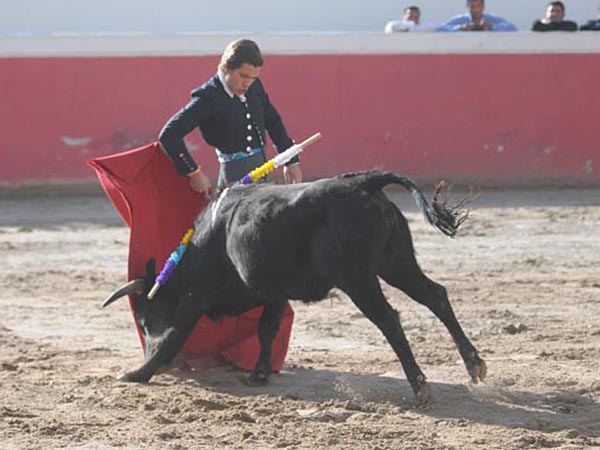 La variedad de Iigo