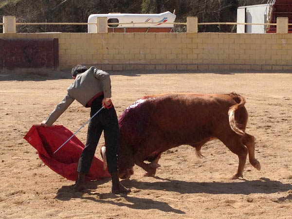 Del hierro de Nez del Cubillo