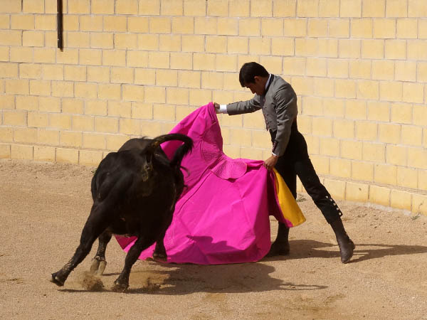 Dos ejemplares a puerta cerrada