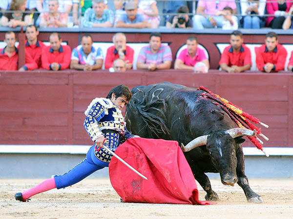 Ninguno de los toros rompi