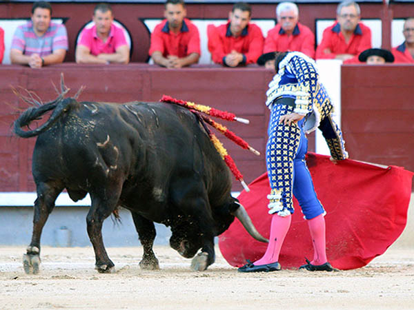 Se vena por dentro y arrollaba