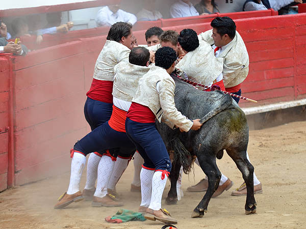 Dominando la bravura