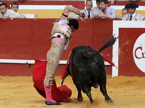 Tarde de ovacin y oreja