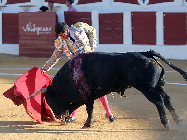 A milmetros de la tela