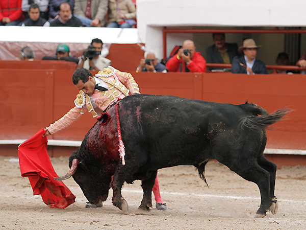 Mostrndole el camino