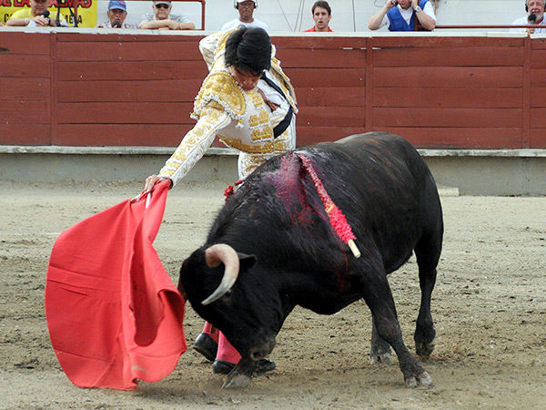 De cintura rota, en Palmira