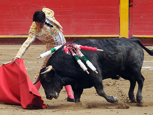 Otro muletazo en Medelln