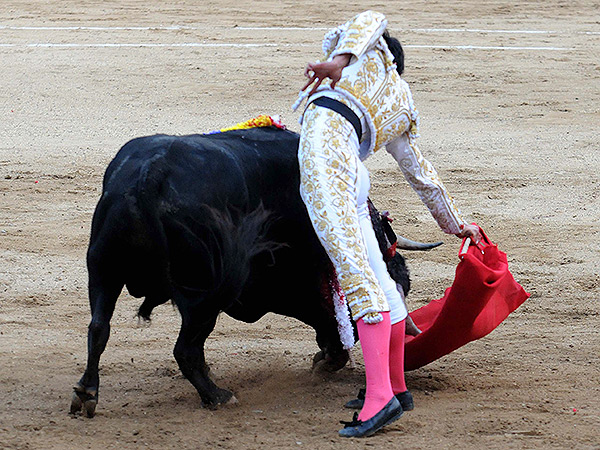 Muletazo en Cali, su tierra