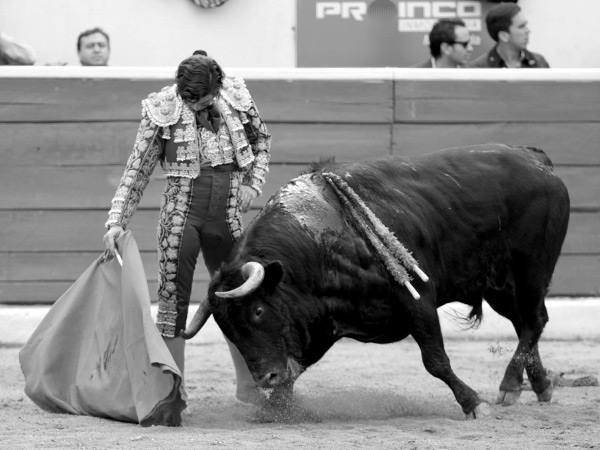 Morante o el embrujo del toreo