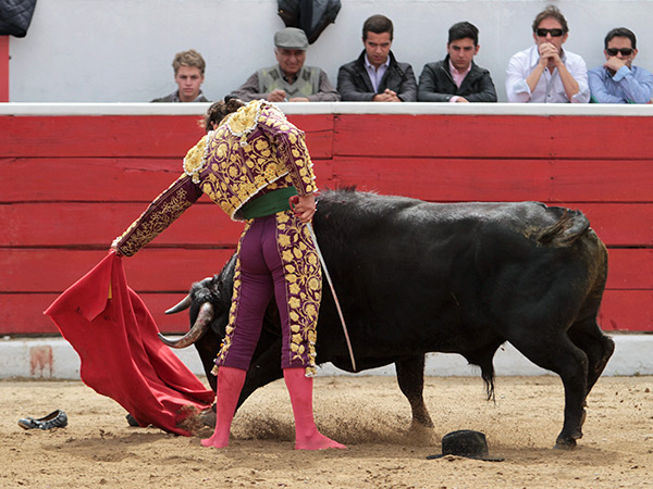 Zapatilla, natural y sombrero