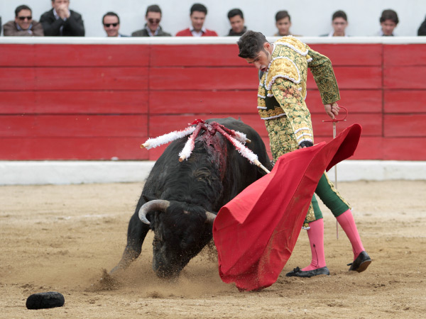 A pesar del viento...