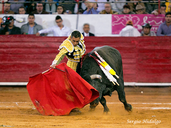 En los terrenos del toro