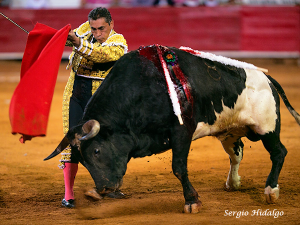 Sudando el terno