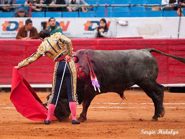 Lupe, torera