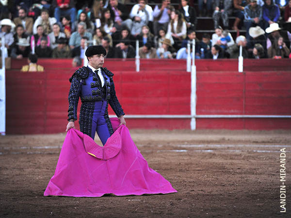 La mirada en el toril