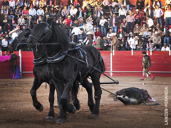 La cuadra lleg de Zacatecas