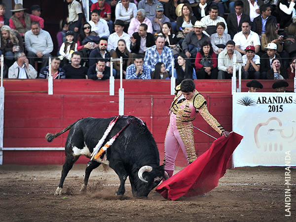 Tirando del ejemplar