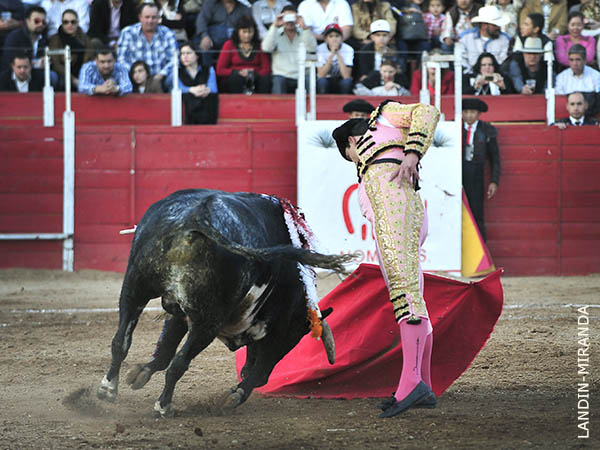 Redondos de mano baja