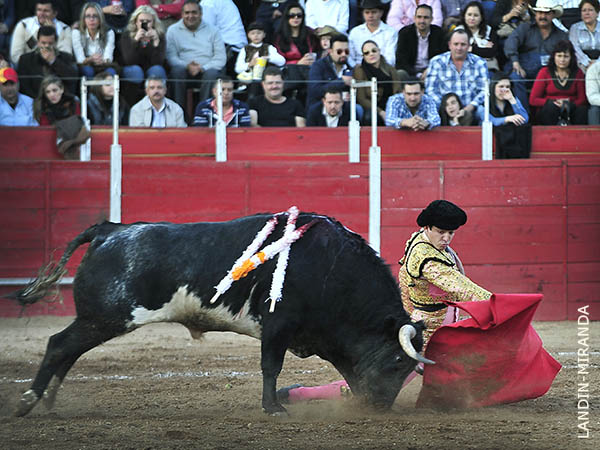 Prlogo rodilla en tierra