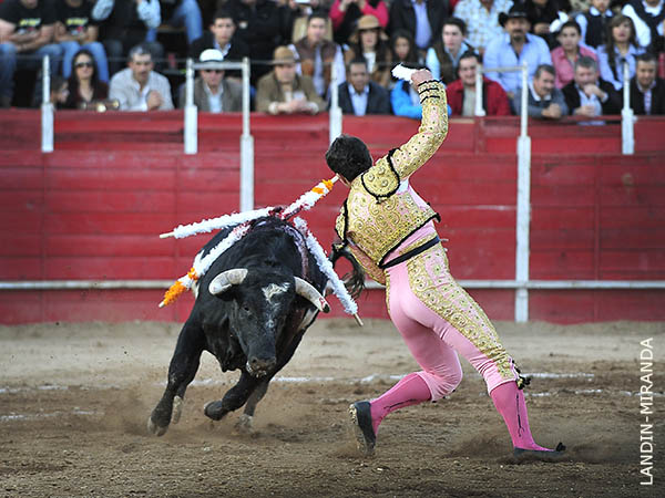 Jaleado en la ejecucin