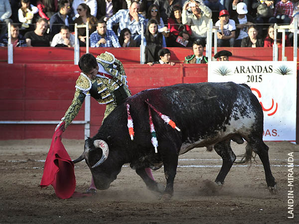 Fijo en la muleta