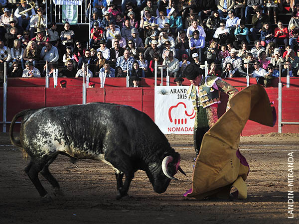 Ovacionado en el quite