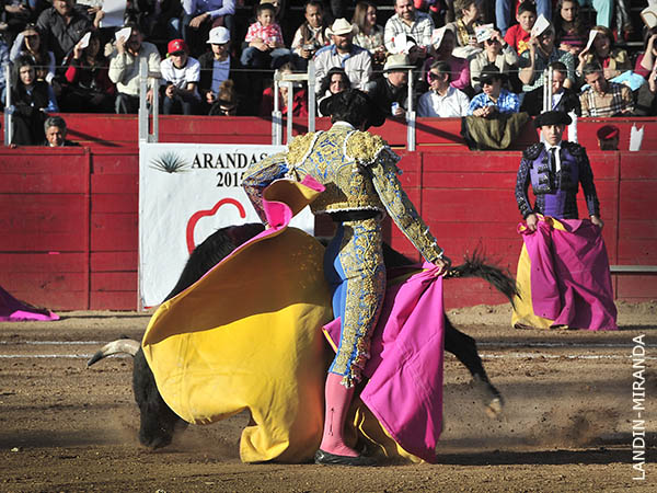 Chicuelinas salmantinas