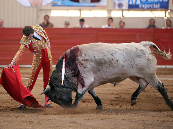 Nobleza en la embestida