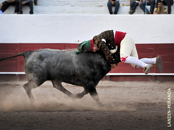 Espectaculares mazatlecos