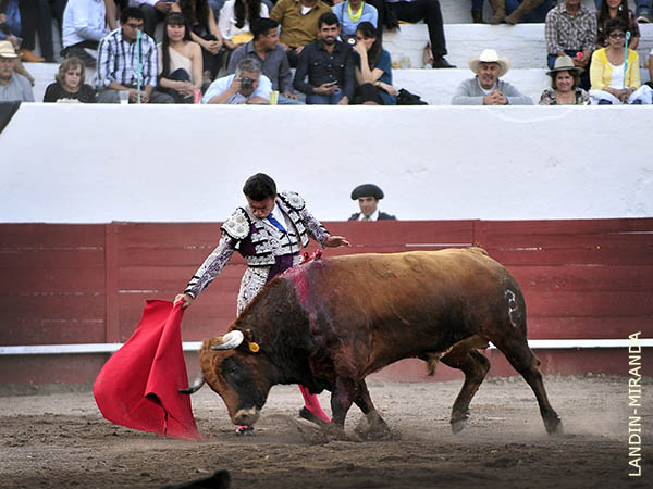 Suavidad de terciopelo