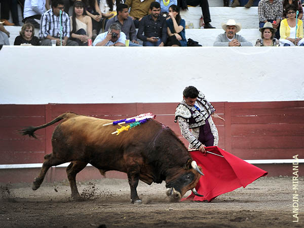 Adornos en el prlogo