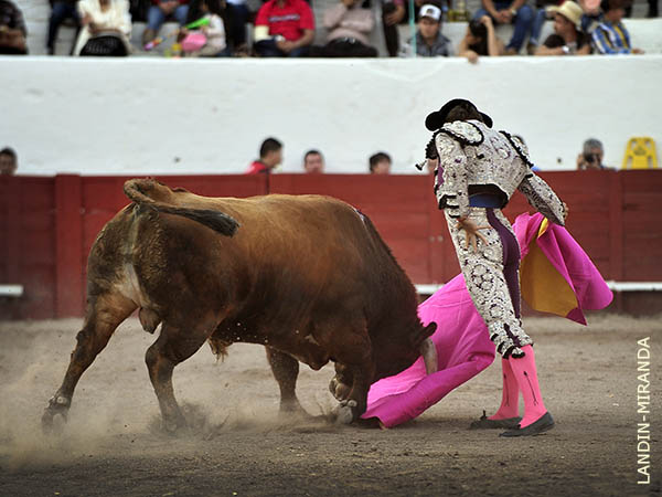 Nobleza en castao