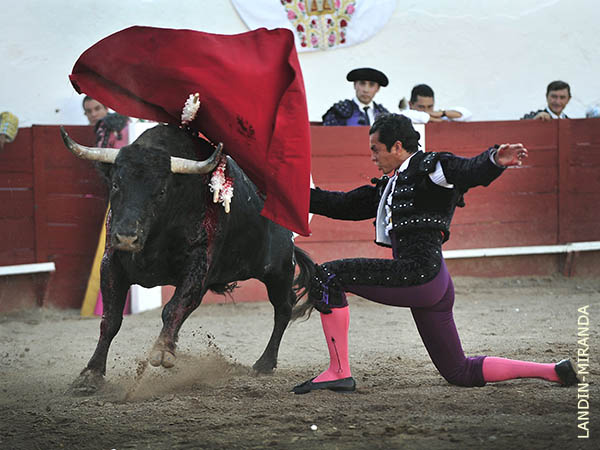 Abrochando la tanda