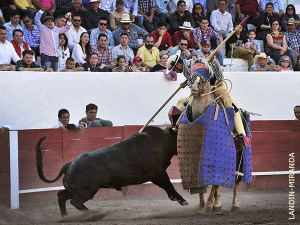 Ruso Delgado en la suerte de varas