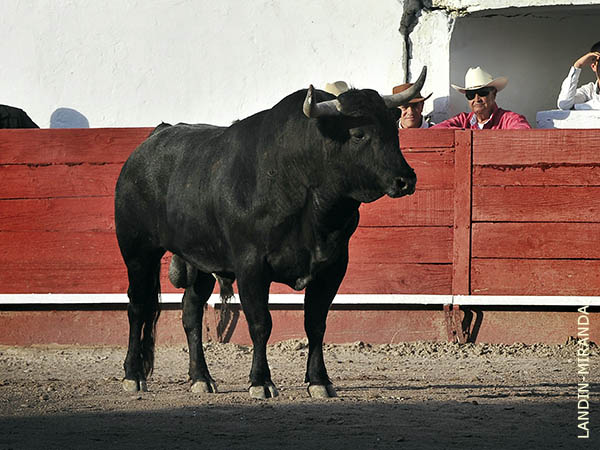 La percha del zano