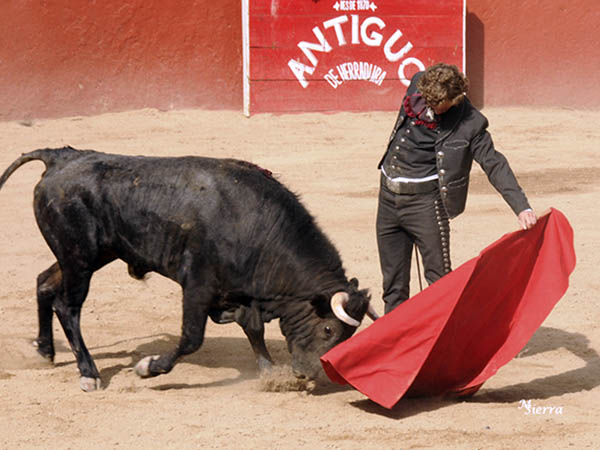 Reposo y trazo por naturales