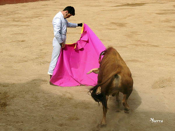 Botos clavados en la arena