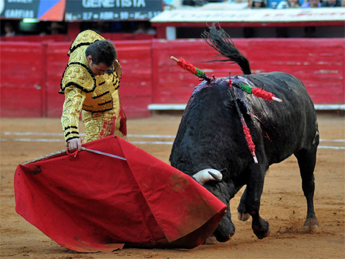 El Fandi, la mejor faena (Tadeo)