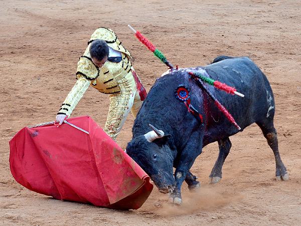 Magnfico derechazo y buen toro