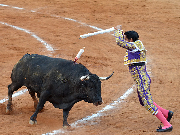 Solvente y lucido con los palos