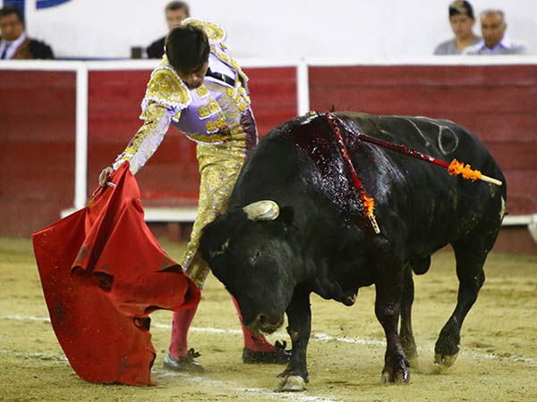 Voluntad de agradar