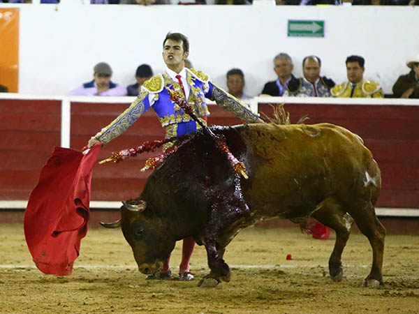 Mirada a lo lejos