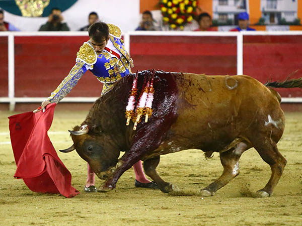 El pitn derecho del castao