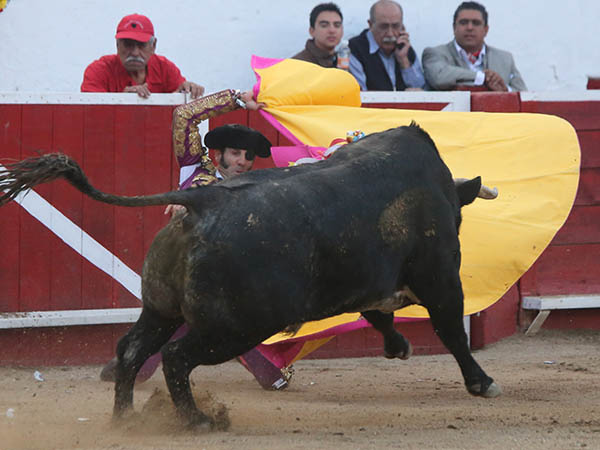 Larga de hinojos