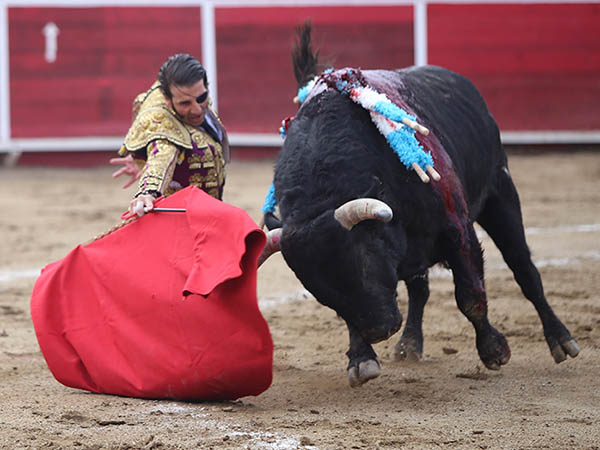 Inicio rodilla en tierra