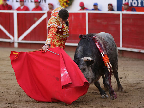 En la querencia natural