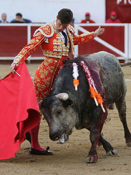 Torero excepcional