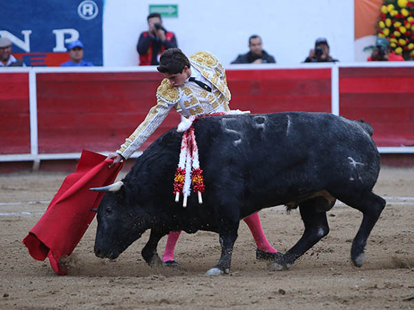 Hubo de realizar un toreo muy firme