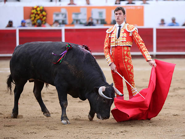 Remates bien delineados