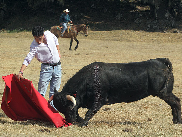 El periodista ngel Carcamo